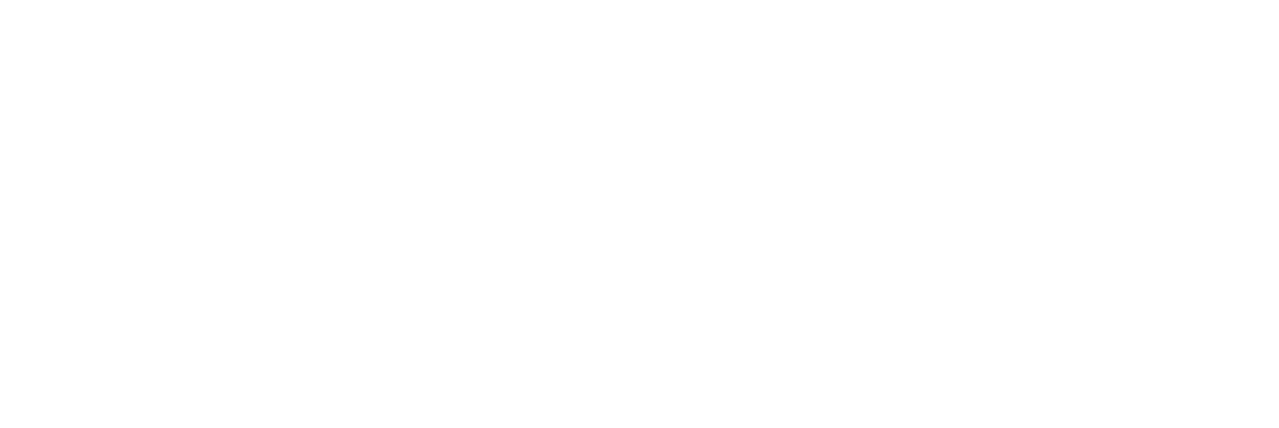 fulllogo transparent